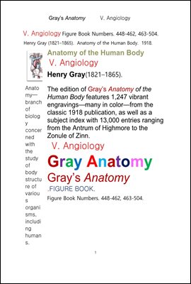 그레이아나토미 해부학의 제5권 혈관학의 도해 그림책.Gray’s Anatomy,V. Angiology .FIGURE BOOK.by Henry Gray.