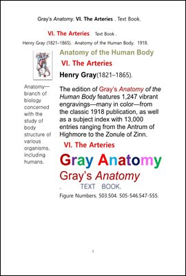 그레이아나토미 해부학의 제6권 동맥 책.Gray’s Anatomy. VI. The Arteries . Text Book.by Henry Gray.