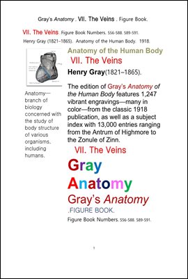 그레이아나토미 해부학의 제7권 정맥 의 도해 그림책.Gray’s Anatomy . VII. The Veins . Figure Book.by Henry Gray