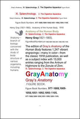 그레이아나토미 해부학의 제11권 2부 소화기 학 도해 그림책.Gray’s Anatomy. XI. Splanchnology. 2. The Digestive Apparatus Figure Book,by Henry Gray