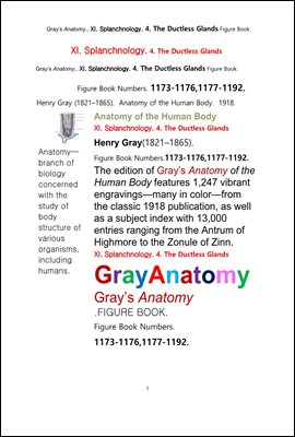 그레이아나토미 해부학의 제11권 4부 내분비기관 학 도해 그림책.Gray’s Anatomy. XI. Splanchnology. 4. The Ductless Glandsl Apparatus Figure Book,by Henry Gray