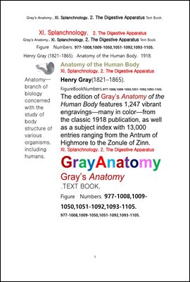 그레이아나토미 해부학의 제11권 2부 소화기관학 텍스트책.Gray’s Anatomy. XI. Splanchnology. 2. The Digestive Apparatus Text Book,by Henry Gray
