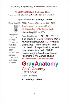 그레이아나토미 해부학의 제11권 4부 내분비기관 학 텍스트 책.Gray’s Anatomy. XI. Splanchnology. 4. The Ductless Glandsl Apparatus Text Book,by Henry Gray