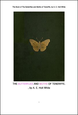 테너리프 의 나비와 나방. The Book of The Butterflies and Moths of Teneriffe, by A. E. Holt White