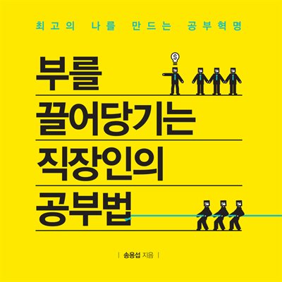 부를 끌어당기는 직장인의 공부법