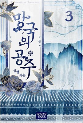 망국의 공주 3권 (완결)