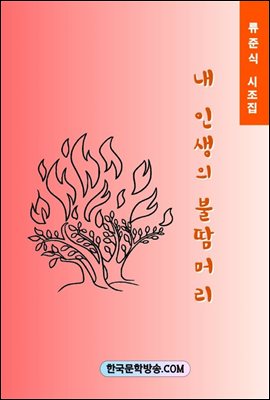 내 인생의 불땀머리