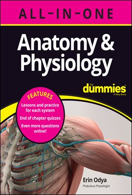 Anatomy &amp; Physiology All-in-One For Dummies (+ Chapter Quizzes Online)