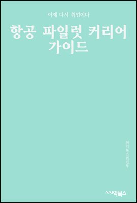 항공 파일럿 커리어 가이드 : 상업 항공 조종사의 역할과 책임에 대한 포괄적인 개요