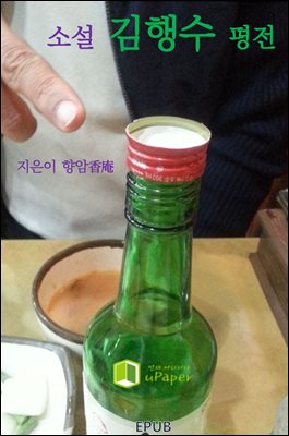 소설 김행수 평전