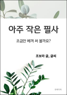 아주 작은 필사