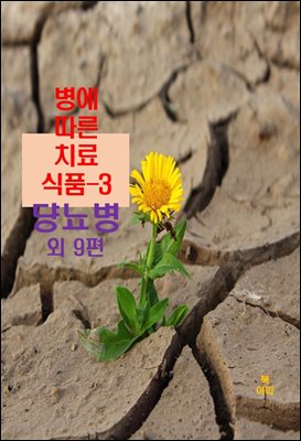 병에 따른 치료식품-3 _당뇨병 외 9편