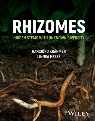 Rhizomes