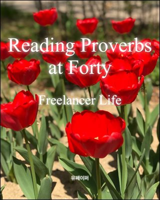 Reading Proverbs at Forty