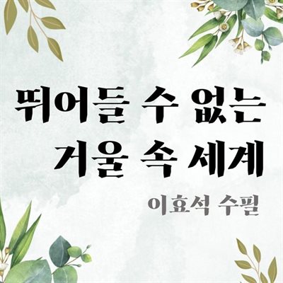 뛰어들 수 없는 거울 속 세계