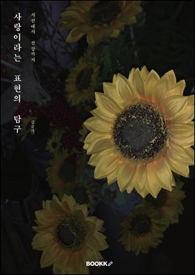 사랑이라는 표현의 탐구