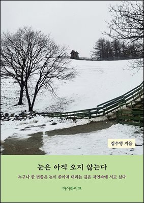 눈은 아직 오지 않는다