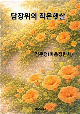 담장위의 작은햇살