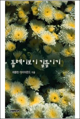 플레이보이 길들이기