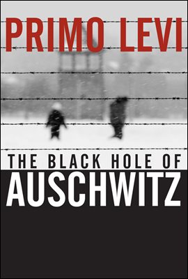 The Black Hole of Auschwitz