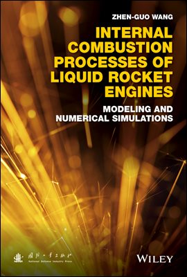 Internal Combustion Processes of Liquid Rocket Engines