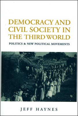 Democracy and Civil Society in the Third World