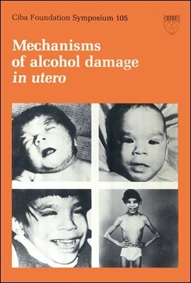 Mechanisms of Alcohol Damage in Utero