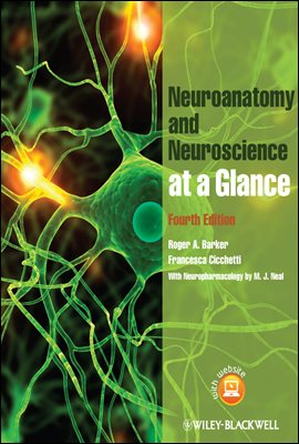 Neuroanatomy and Neuroscience at a Glance