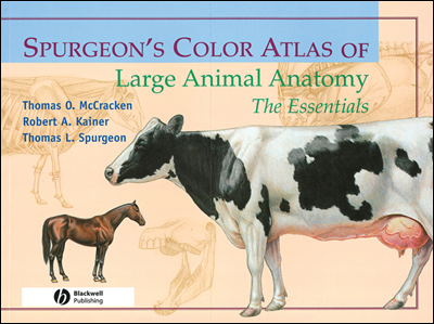 Spurgeon&#39;s Color Atlas of Large Animal Anatomy