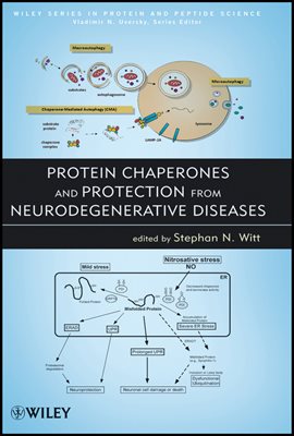 Protein Chaperones and Protection from Neurodegenerative Diseases