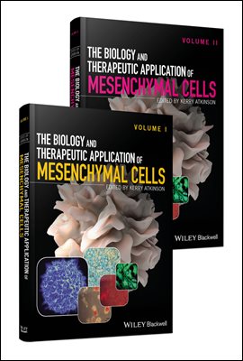 The Biology and Therapeutic Application of Mesenchymal Cells