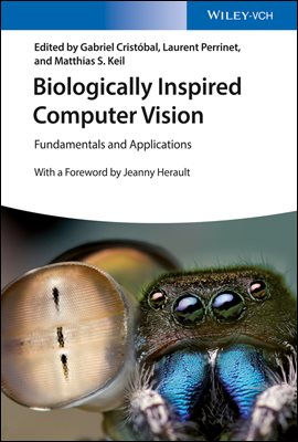 Biologically Inspired Computer Vision