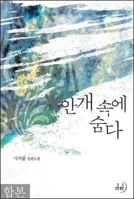 안개 속에 숨다 (개정판)