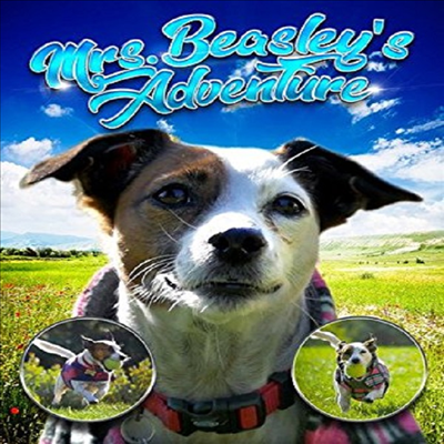 Mrs Beasley's Adventure: Jack Russell Terrier Tale (비즐리 어드벤처)(지역코드1)(한글무자막)(DVD)