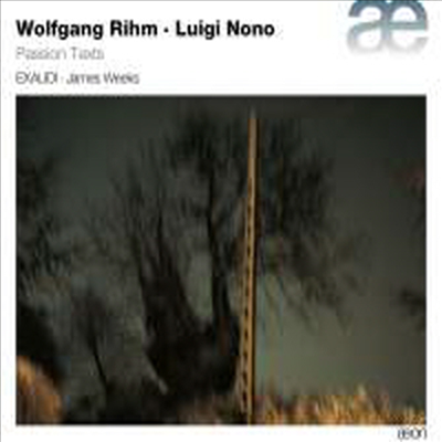 볼프강 림 & 루이지 노노: 수난 텍스트 (Wolfgang Rihm & Luigi Nono: Passion Texts) - James Weeks