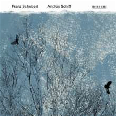 슈베르트: 피아노 소나타 18번, 21번 & 6개의 악흥의 순간, 4개의 즉흥곡 (Schubert: Piano Sonatas Nos.18, 21 & Moments Musicaux D780, Op. 94, 4 Impromptus, D935) (2CD) - Andras Schiff