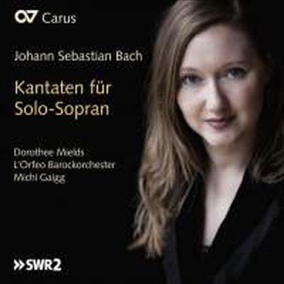 바흐: 소프라노 독창을 위한 칸타타 (Bach: Cantatas for Solo Soprano)(CD) - Dorothee Mields