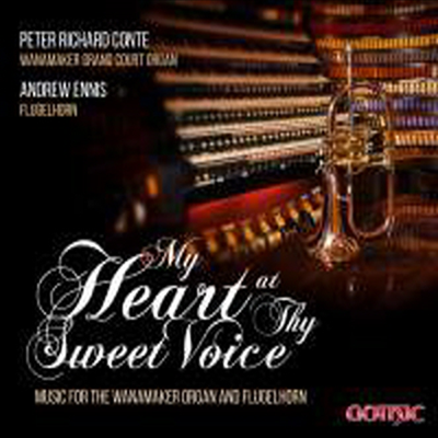 달콤한 선율에 담긴 나의 마음 (My Heart at Thy Sweet Voice)(CD) - Andrew Ennis