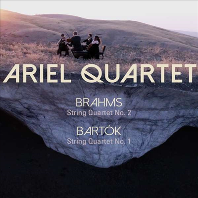 브람스: 현악 사중주 2번 & 바르톡: 현악 사중주 1번 (Brahms: String Quartet No.2 & Bartok: String Quartet No.1)(CD) - Ariel Quartet