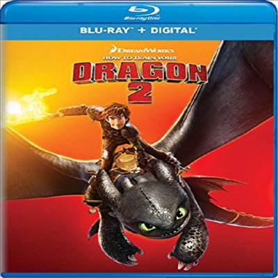 How To Train Your Dragon 2 (드래곤 길들이기 2)(한글무자막)(Blu-ray)