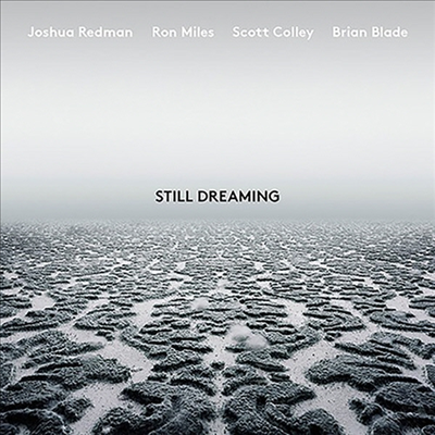 Joshua Redman - Still Dreaming (Vinyl LP)