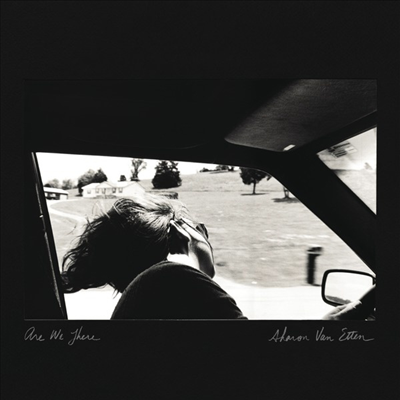 Sharon Van Etten - Are We There (LP+Download Card)