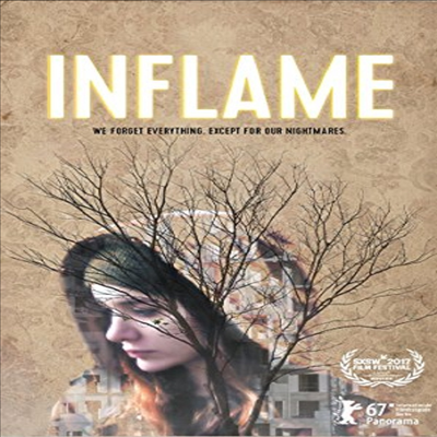 Inflame (인플레임)(지역코드1)(한글무자막)(DVD)