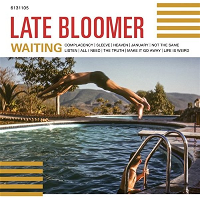 Late Bloomer - Waiting (LP)