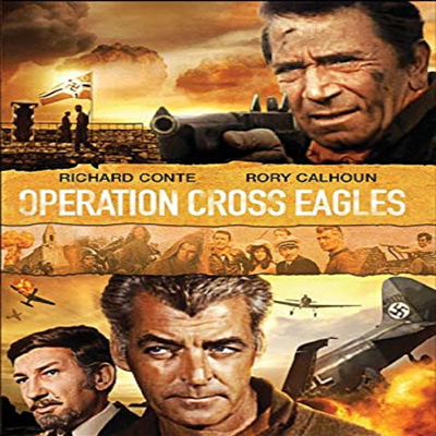 Operation Cross Eagles (오퍼레이션 크로스 이글) (Mono)(지역코드1)(한글무자막)(DVD-R)