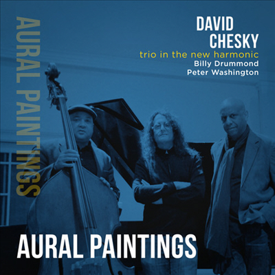 David Chesky - Trio In The New Harmonic: Aural Paintings (Digipack)(CD)