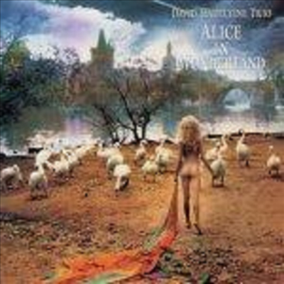 David Hazeltine Trio - Alice in Wonderland (24K Gold CD) (일본반)(CD)