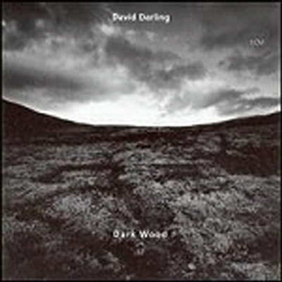 David Darling - Dark Wood (CD)