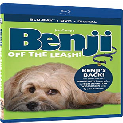 Benji: Off The Leash (벤지)(한글무자막)(Blu-ray+DVD)