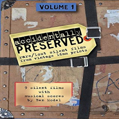 Accidentally Preserved Volume 1 (액시덴틀리 프리저브) (지역코드1)(한글무자막)(DVD-R)
